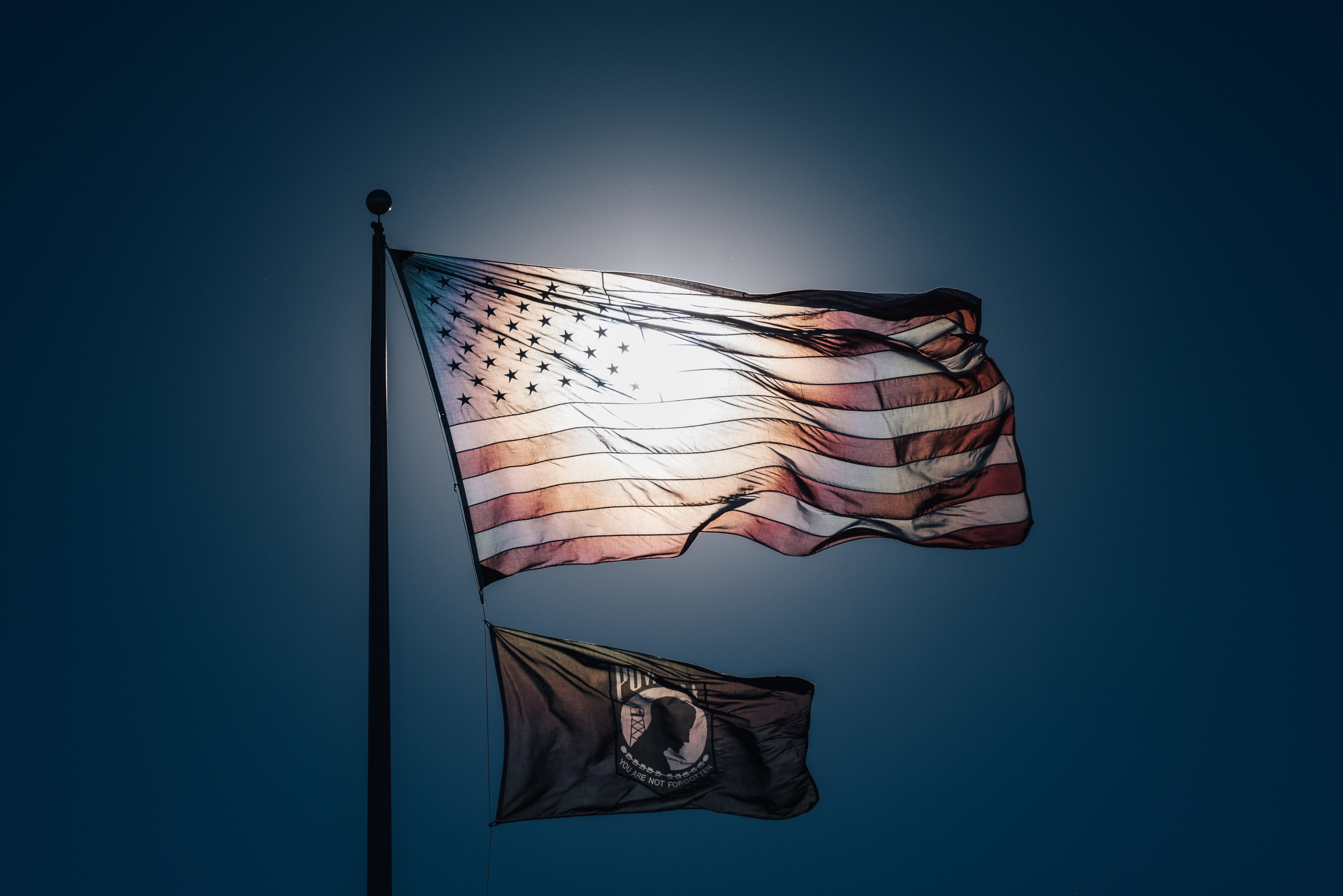 Banner image