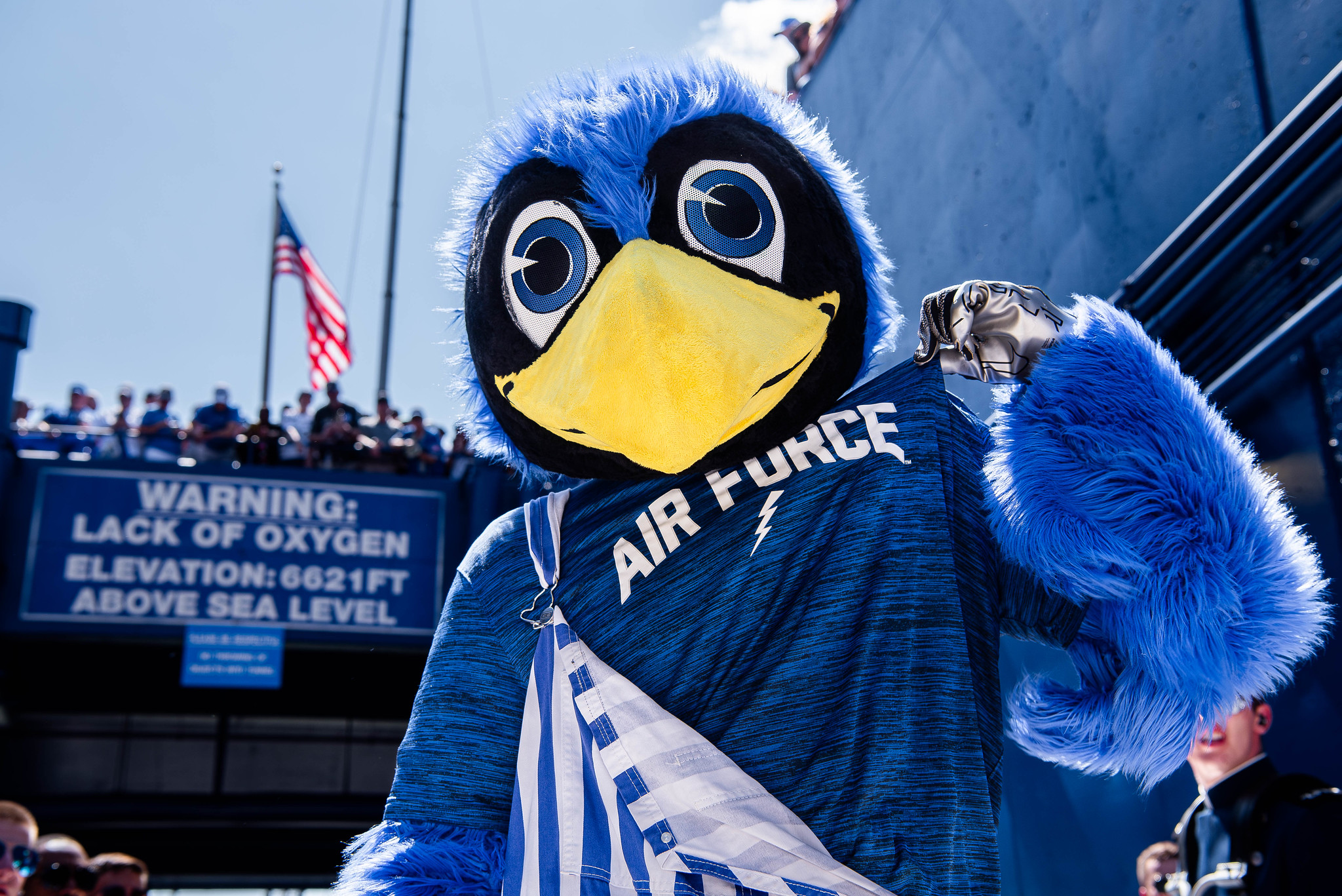 Banner image
